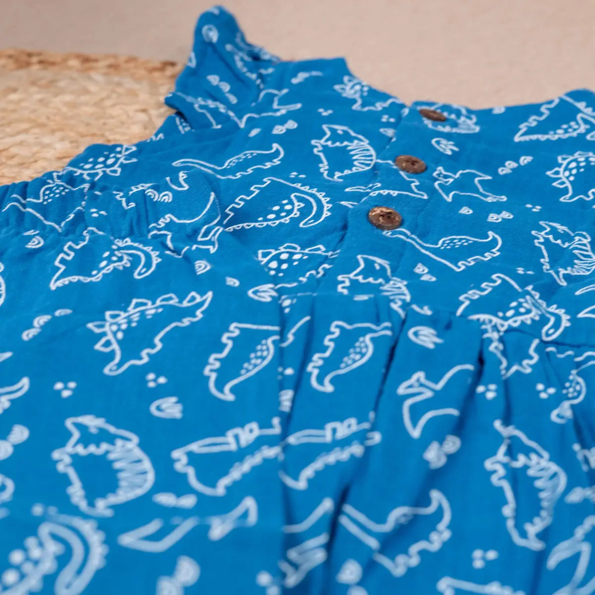 Vibrant Blue Dinosaur - Coords Set