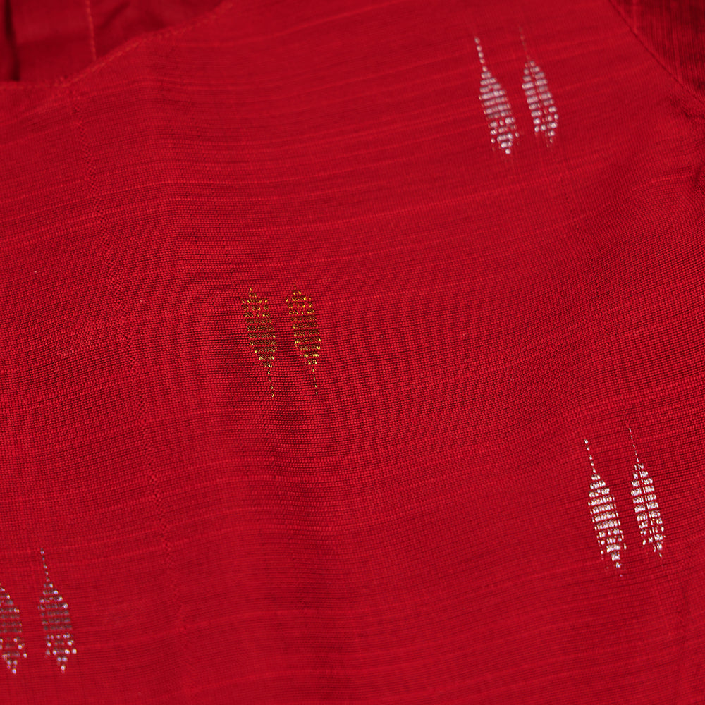 🦜 Ruby Red Raw Silk Top & Parrot Print Skirt Set