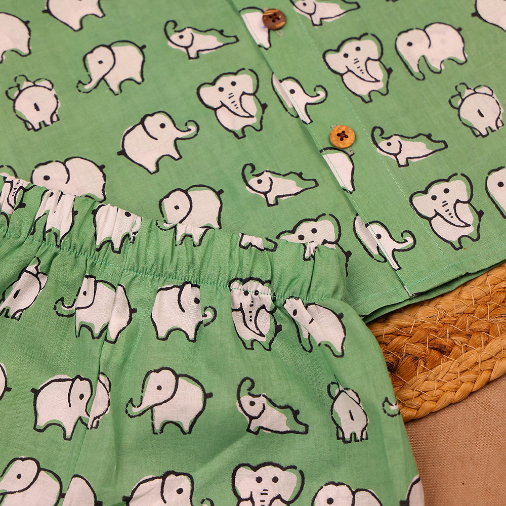 Green Elephant Print Muslin Co-ord Set