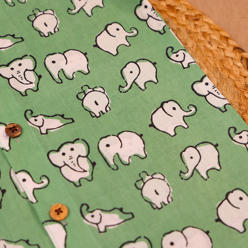 Green Elephant Print Muslin Co-ord Set