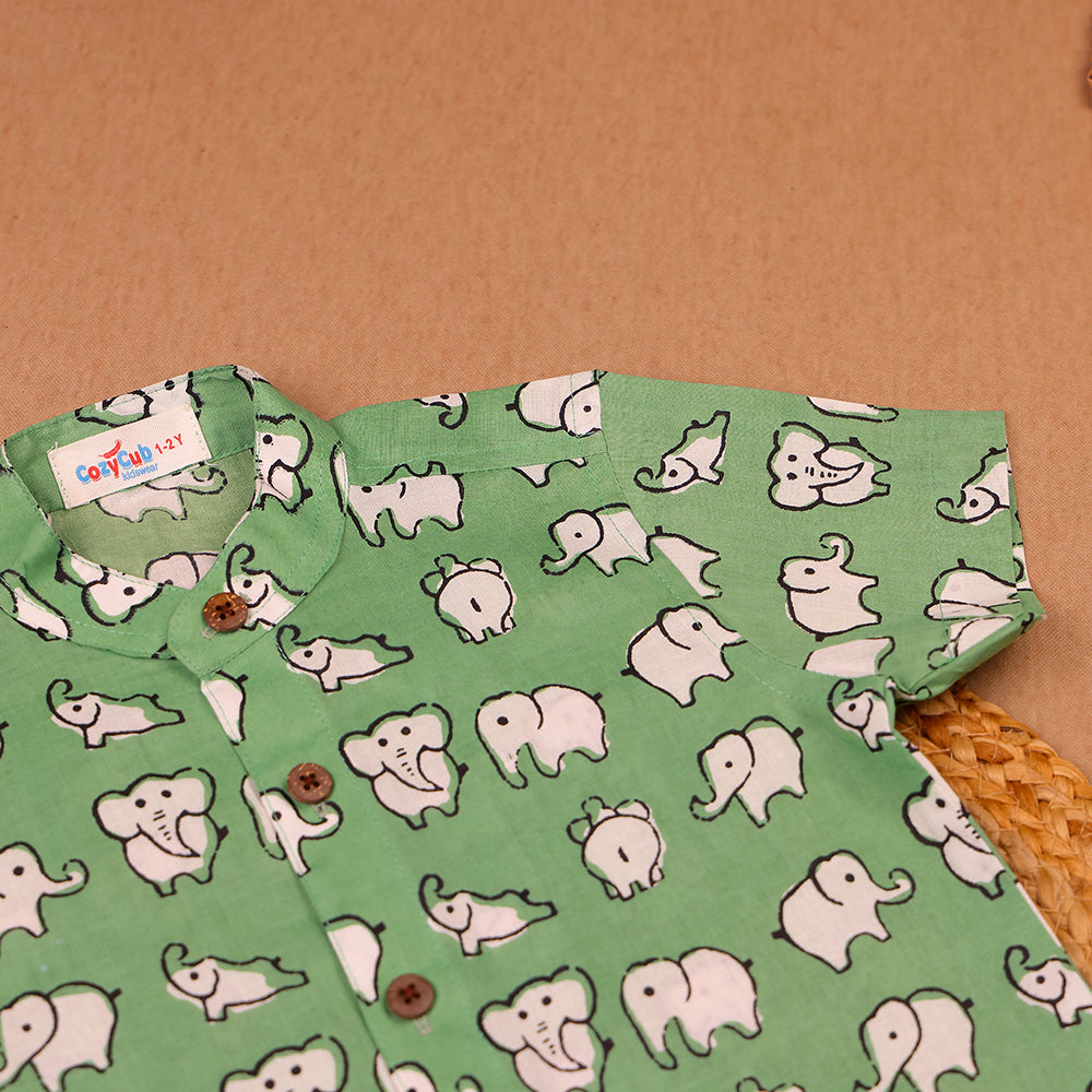 Green Elephant Print Muslin Co-ord Set