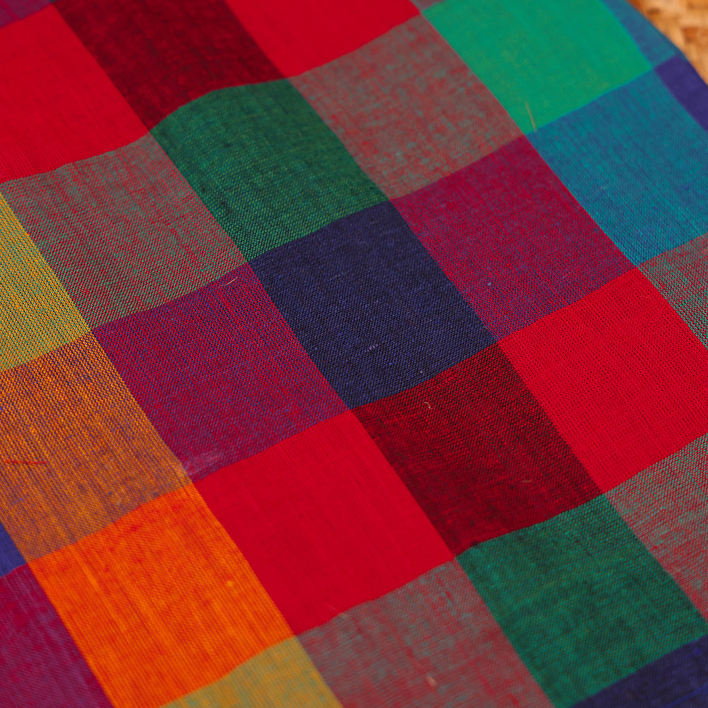 Multicolor Check Top & Blue Pleated Skirt Set