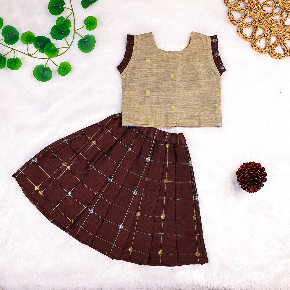 Earthy Elegance Raw Silk Skirt & Top Set