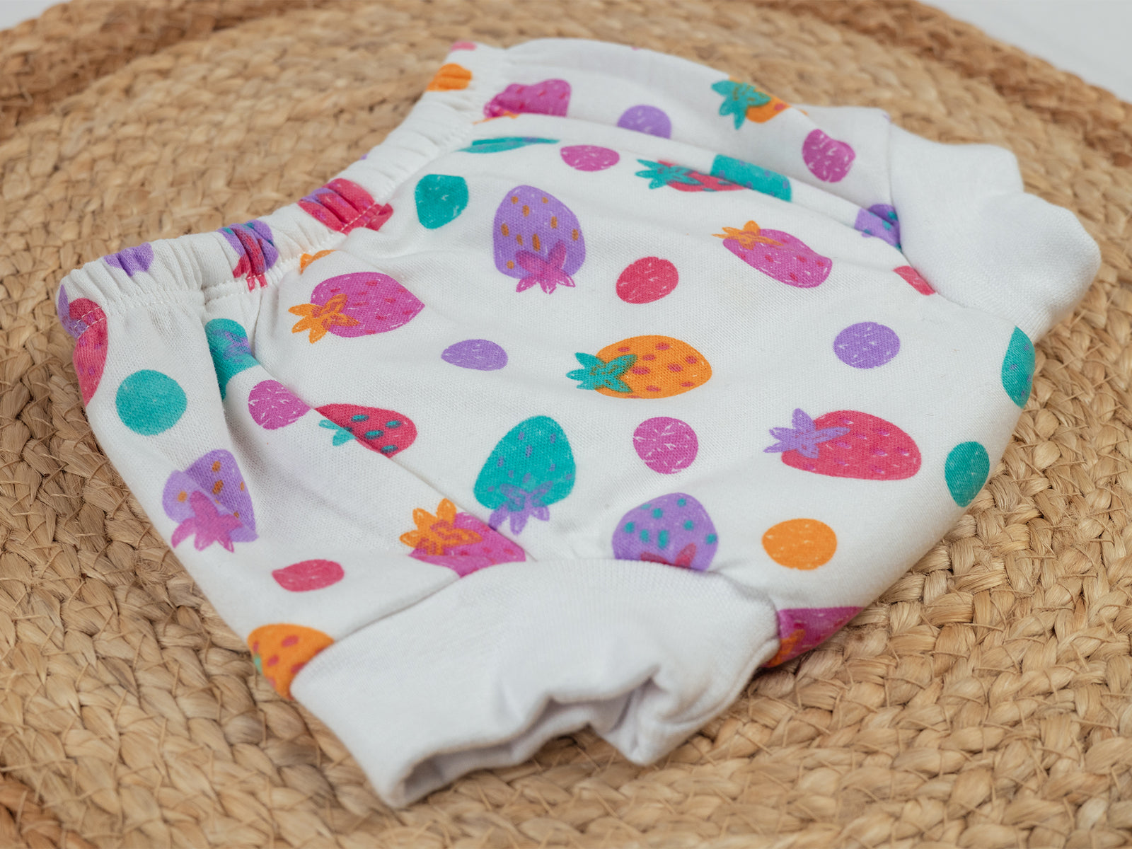 Colorful Fruit Print - Potty Training Pants
